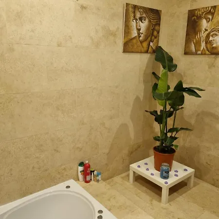 홈스테이 Rossmore House 모니건