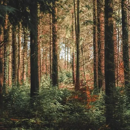 Alloggio in famiglia Rossmore House Monaghan