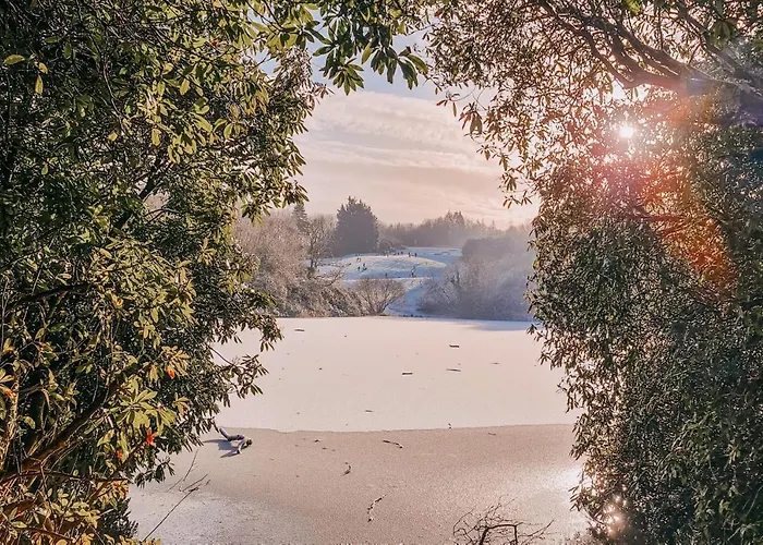 民宿 Rossmore House