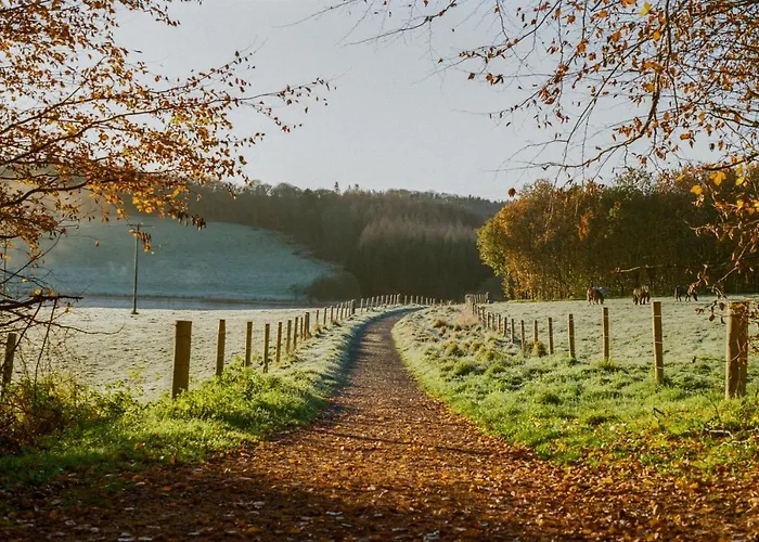 Rossmore House 民宿